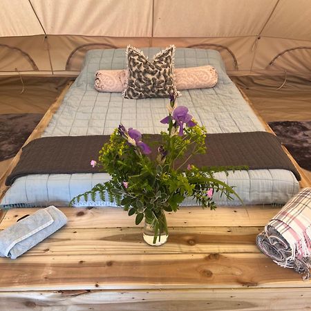 Bluebell Tent At Ballyward Croft Ardkeen Exteriör bild