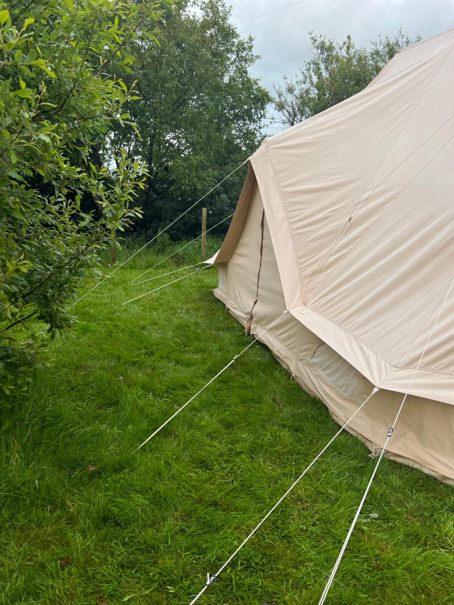 Bluebell Tent At Ballyward Croft Ardkeen Exteriör bild