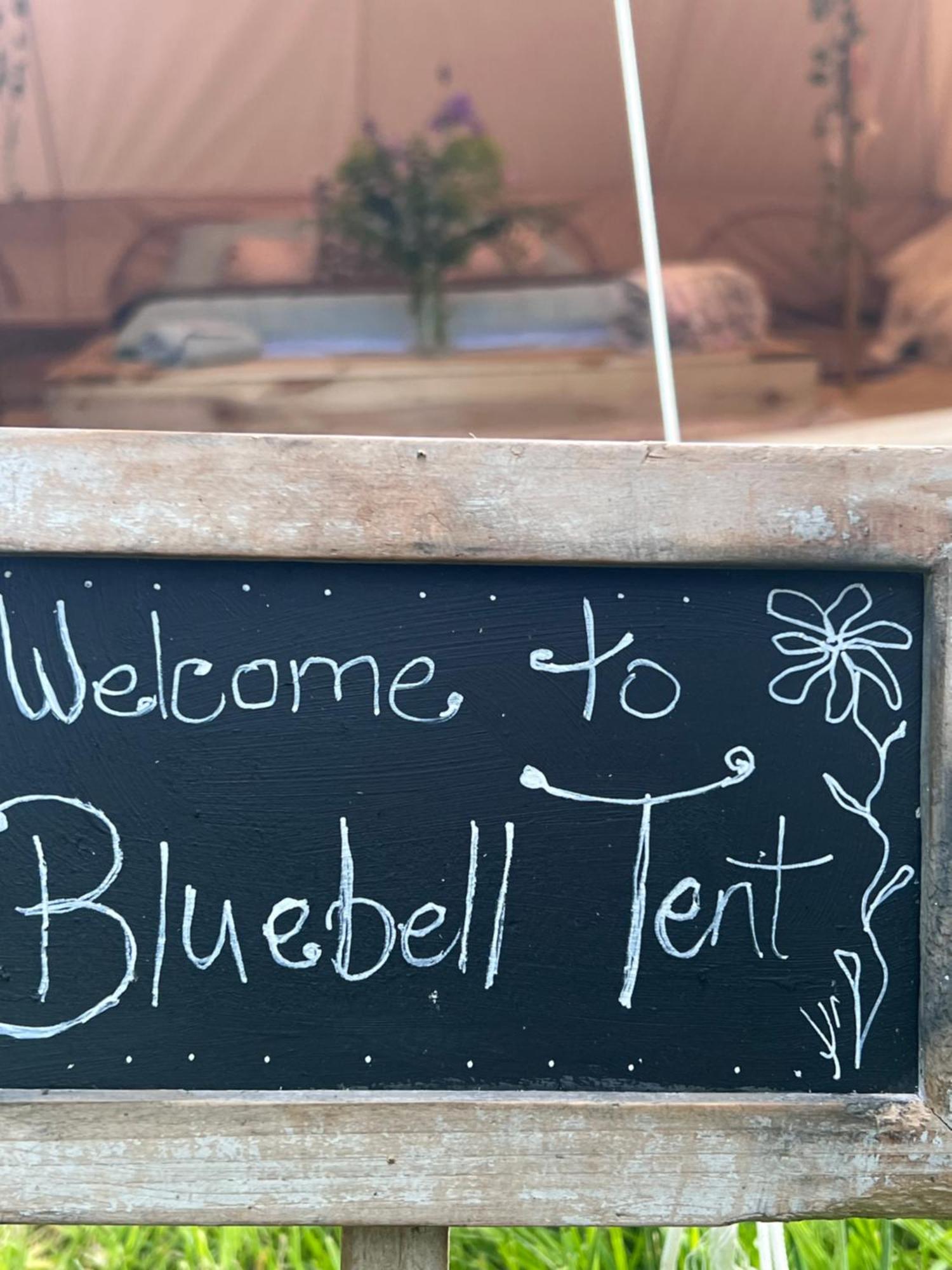 Bluebell Tent At Ballyward Croft Ardkeen Exteriör bild