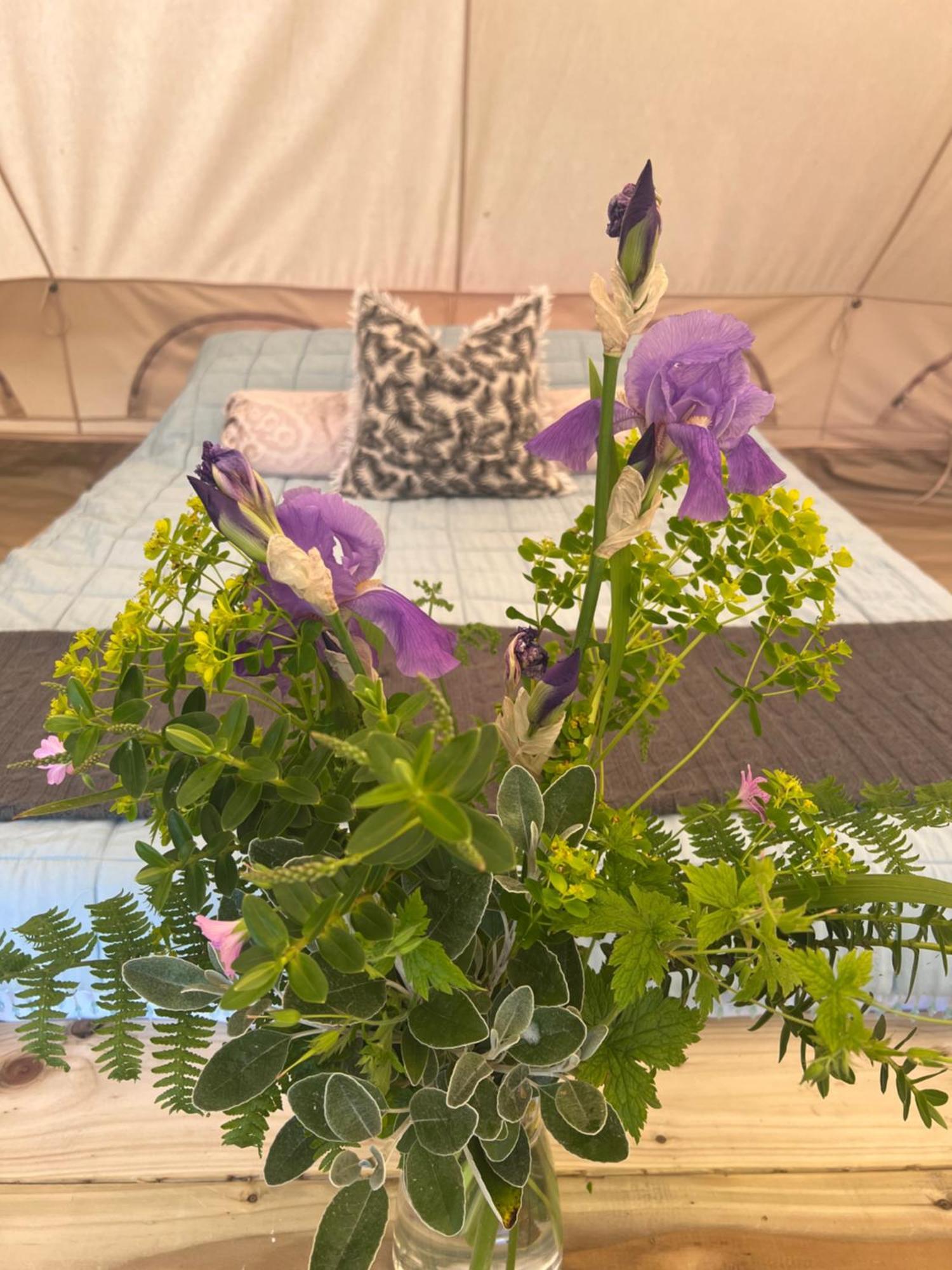 Bluebell Tent At Ballyward Croft Ardkeen Exteriör bild