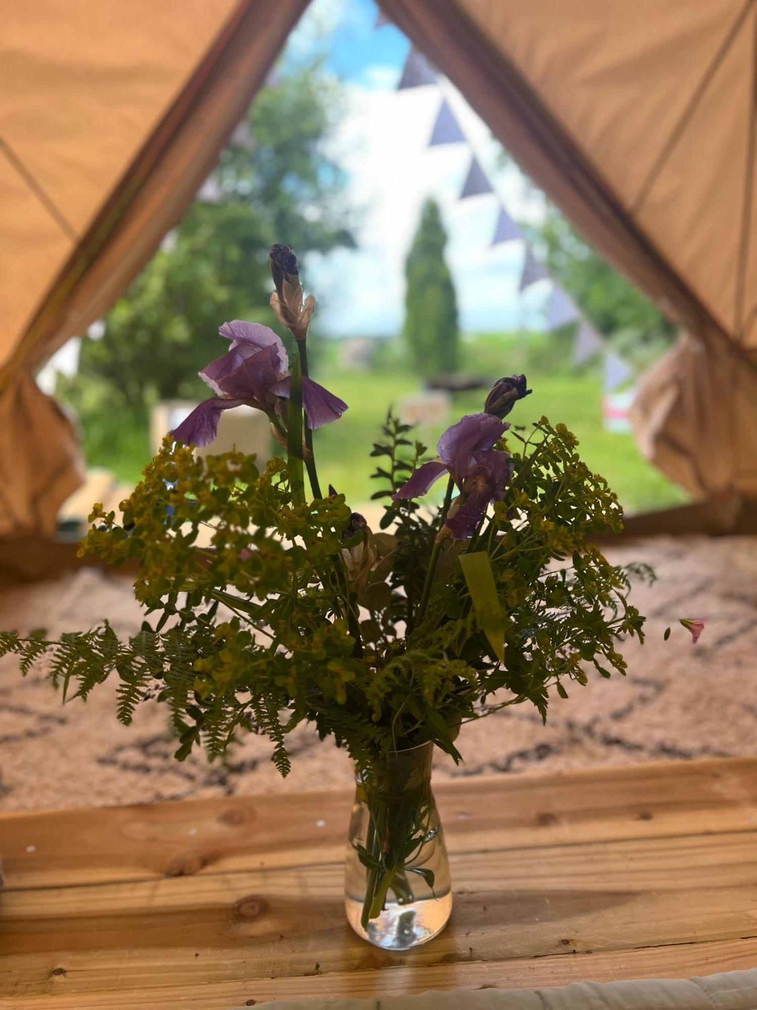 Bluebell Tent At Ballyward Croft Ardkeen Exteriör bild